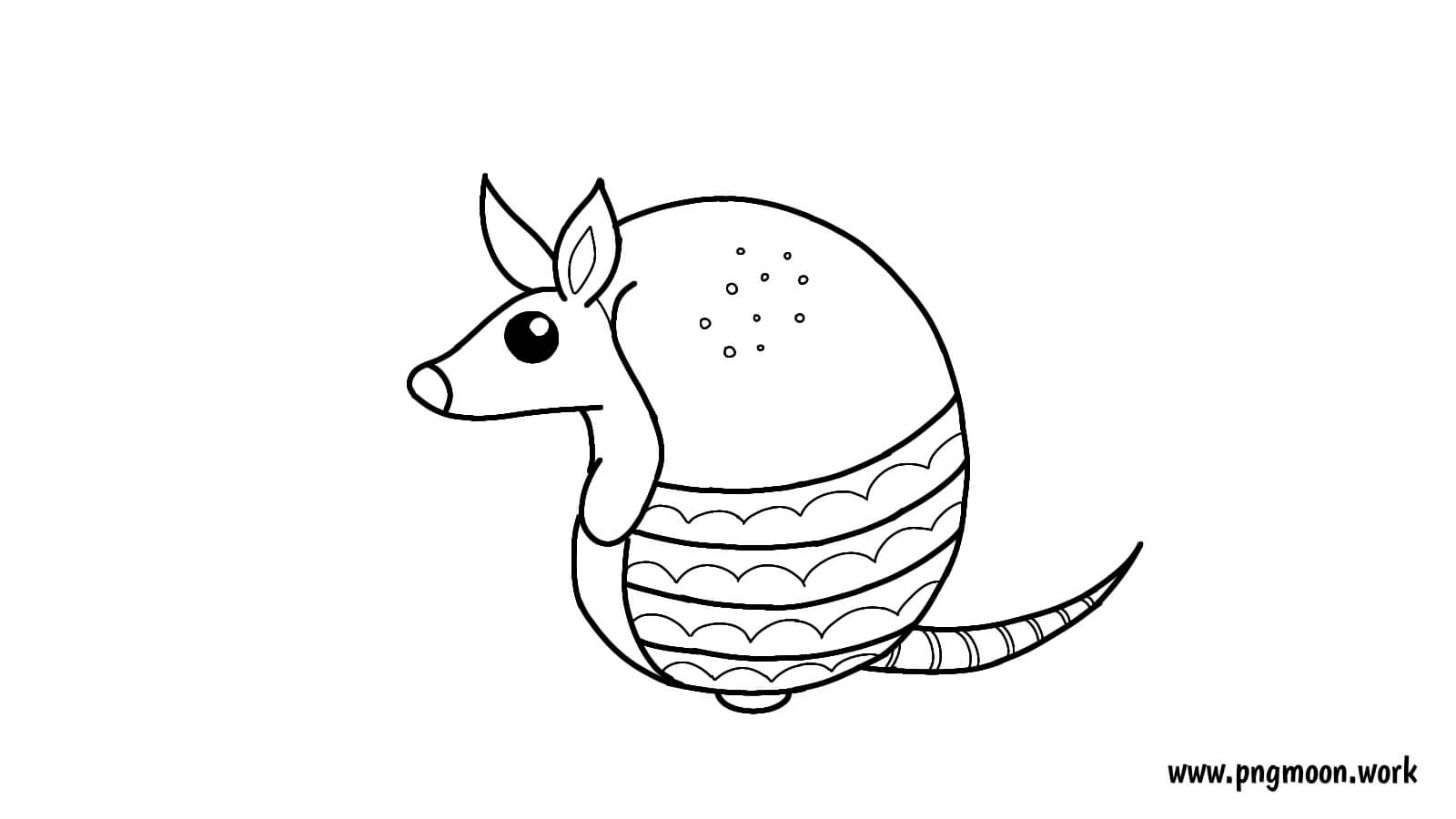 armadillo