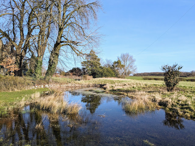 A pond just before point 8 on the walk