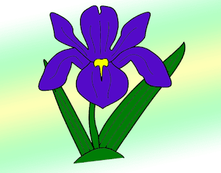 Irises Drawing