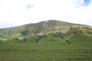 Bromo Tour Savana