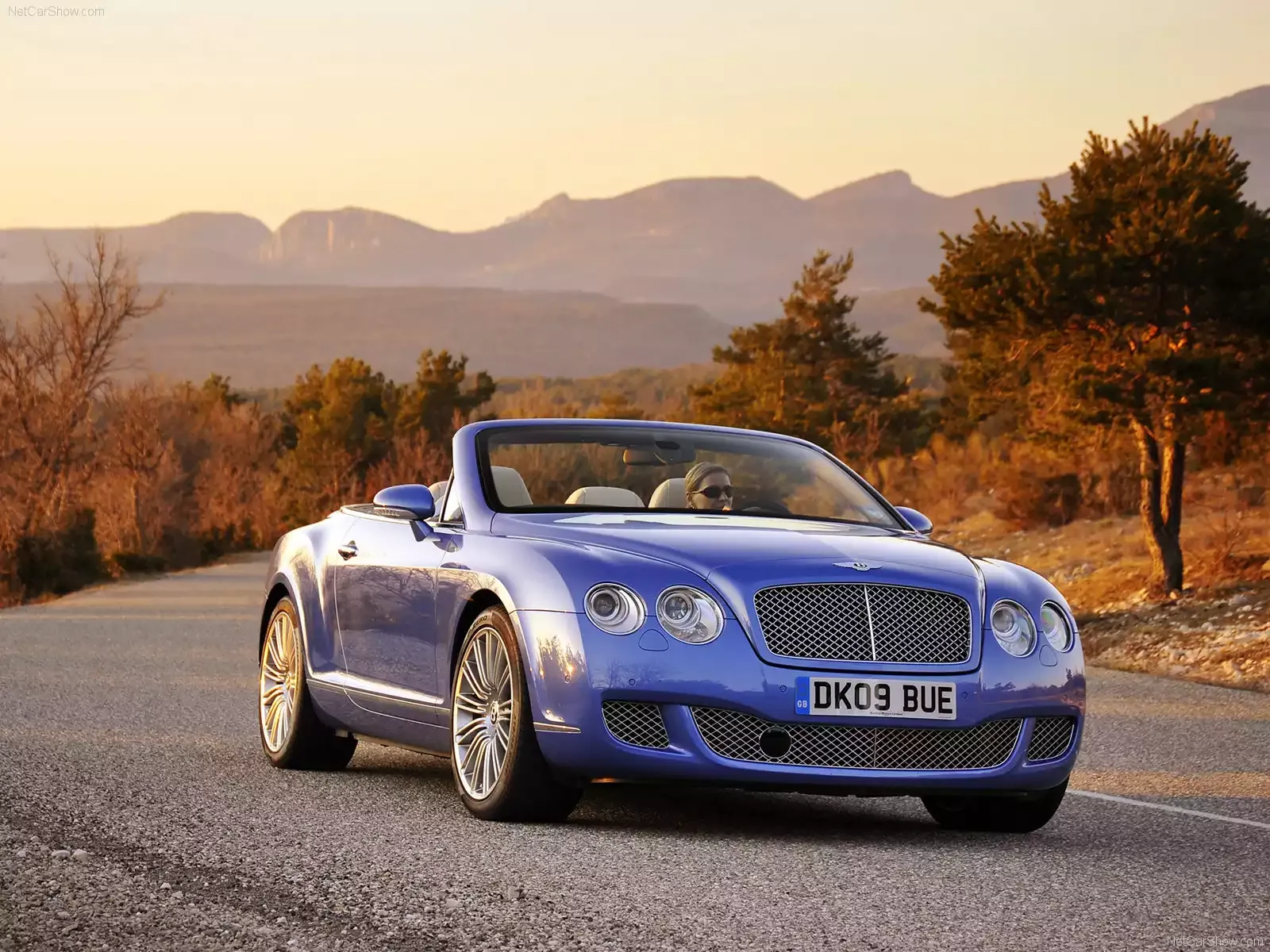 Hình ảnh xe ô tô Bentley Continental GTC Speed 2010 & nội ngoại thất