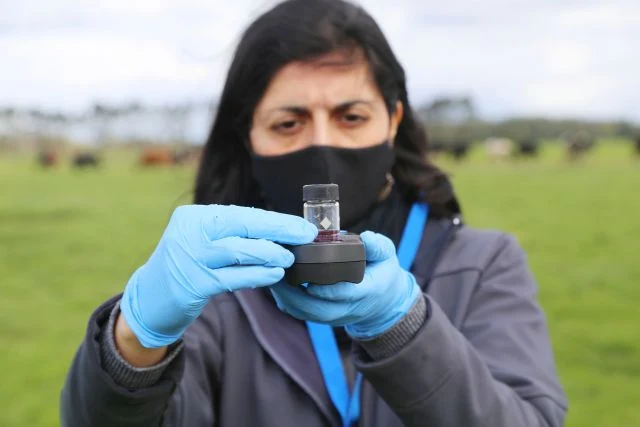Reporte de sustentabilidad Manuka
