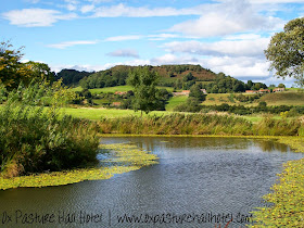 Lake at Raincliffe Woods in Scarborough | Anyonita-nibbles.co.uk