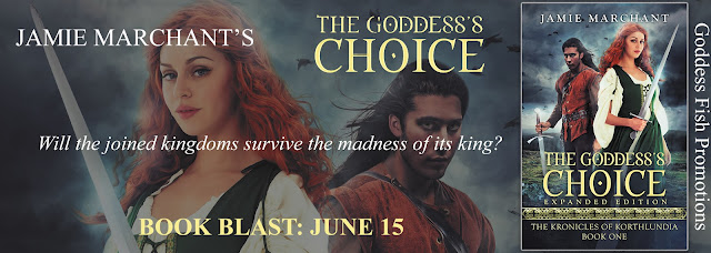 http://goddessfishpromotions.blogspot.com/2017/05/book-blast-goddesss-choice-by-jamie.html