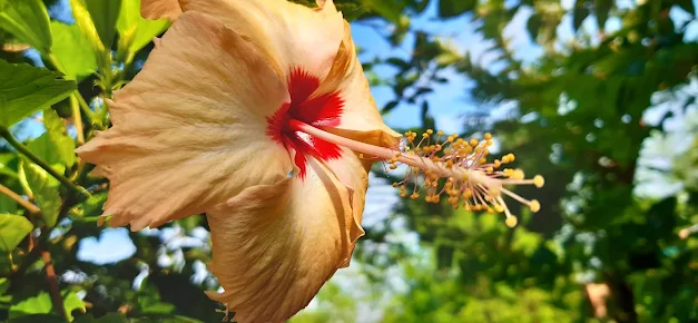 Best photo-editing apps for android and iPhone you might don't know in 2020
