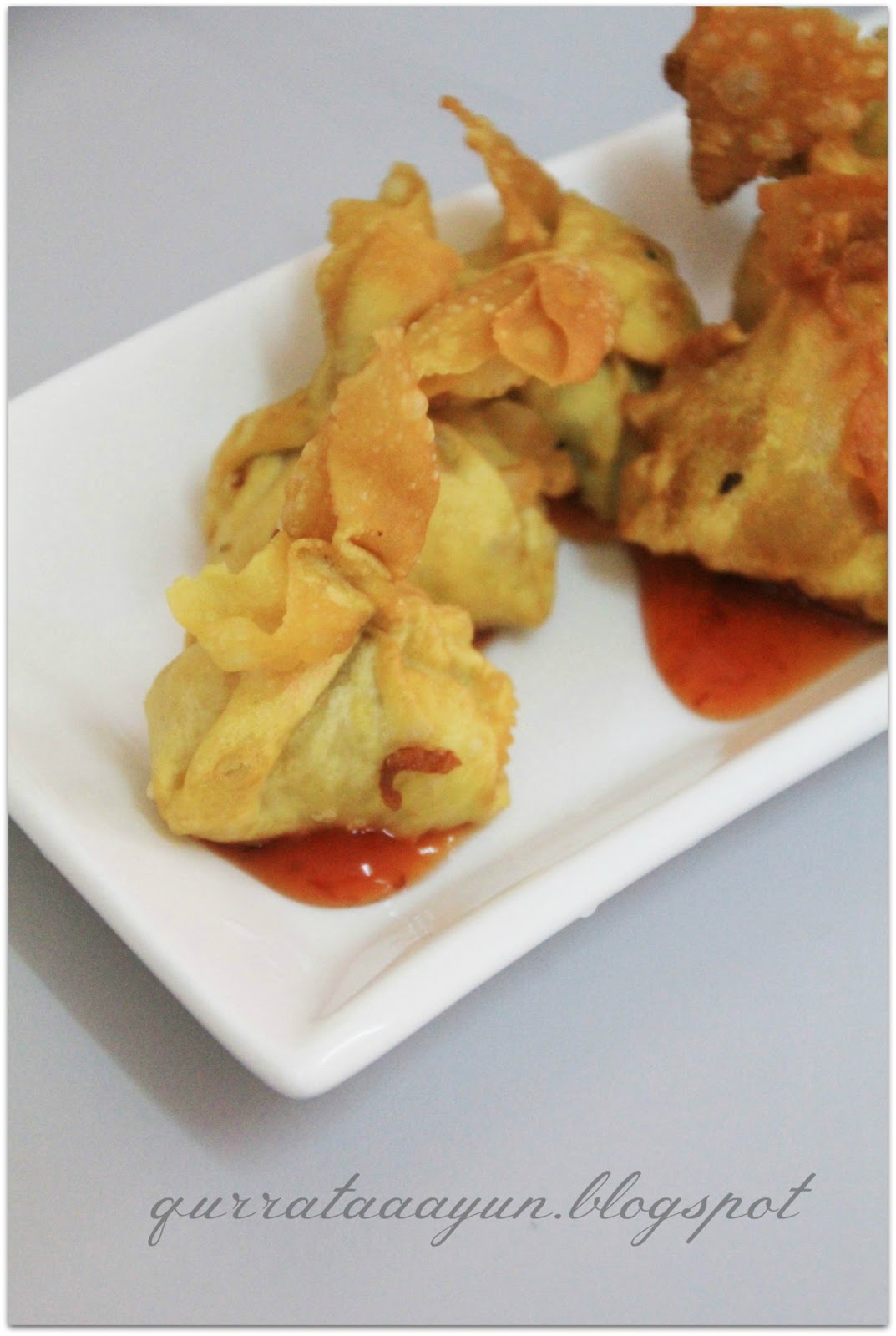 Life is a Constant Battle: Wantan Ayam Goreng