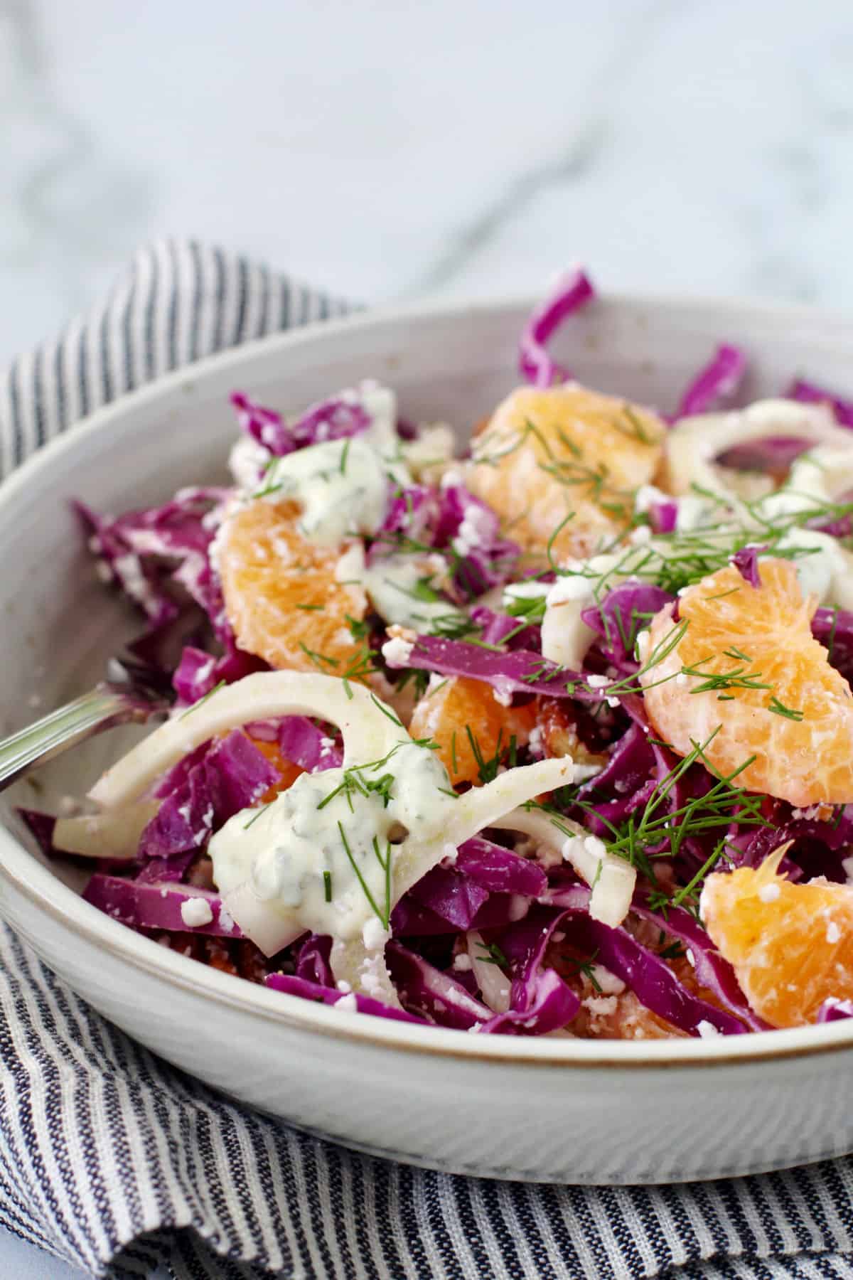 Fennel, Red Cabbage, Goat Cheese, & Citrus Salad in a bowl.