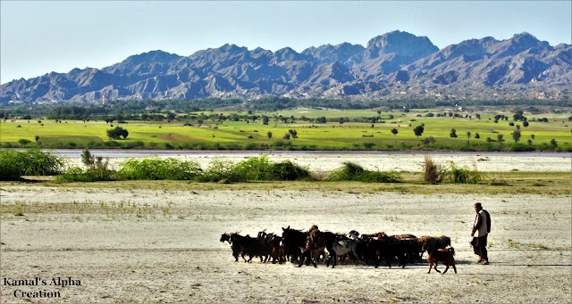 Lakki  Marwat