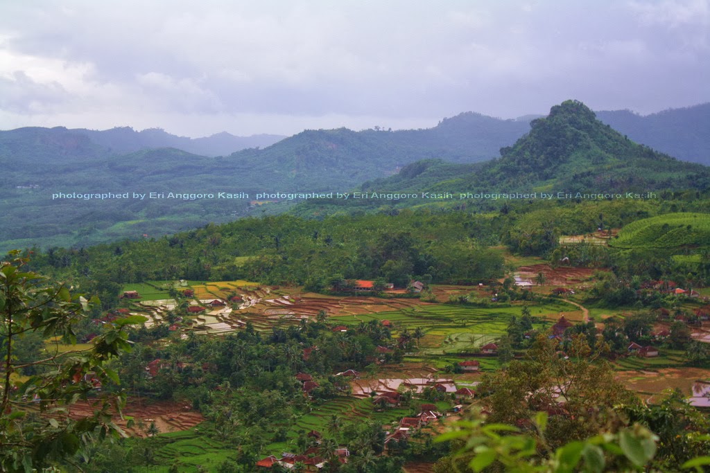 Baru 34 Pemandangan Sawah  Di Garut 