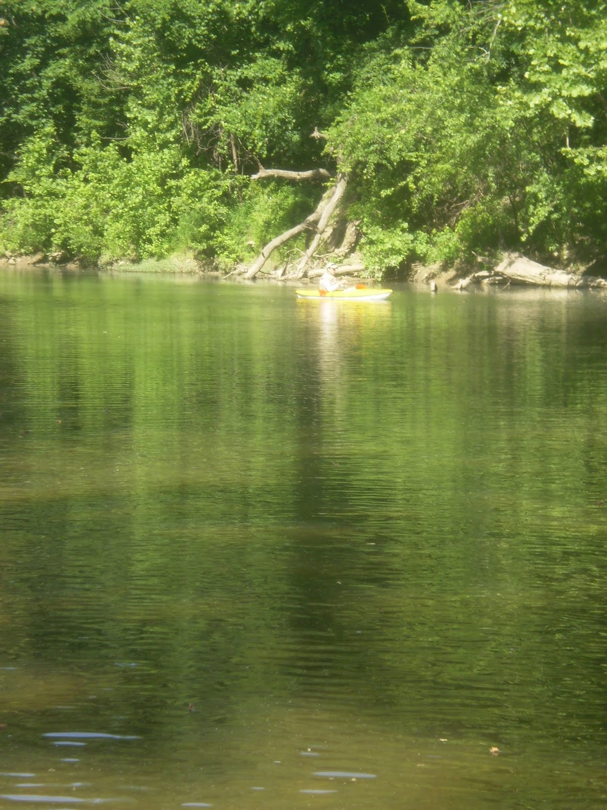 Passport to Texas » Blog Archive » How Drought Conditions Affect White Bass  Run