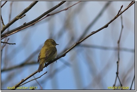 Middleton Lakes - March