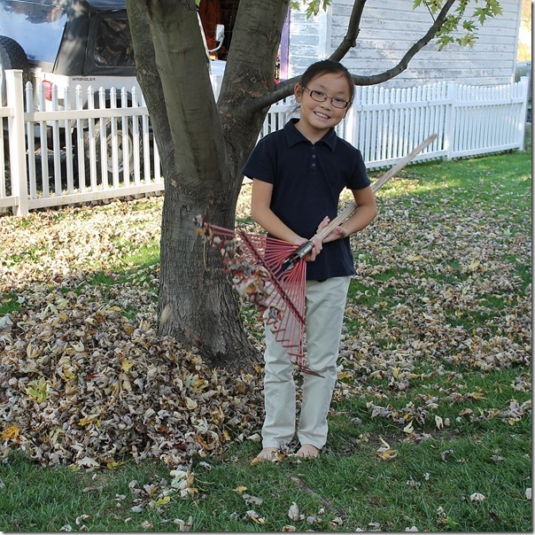 attempting to rake some leaves