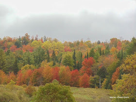 annecharriere.com, couleurs d'automne, 