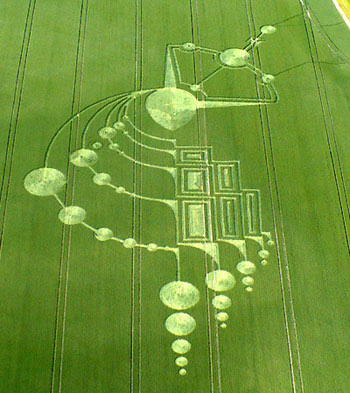 Crop circles 