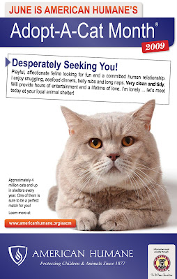 American Humane Association Adopt-A-Cat poster 2009