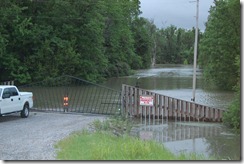 Flood 2011 080