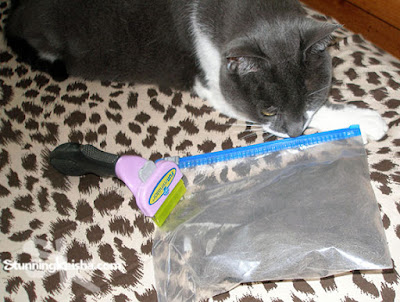 How to Bond With Your Cat Using the FURminator #ChewyInfluencer