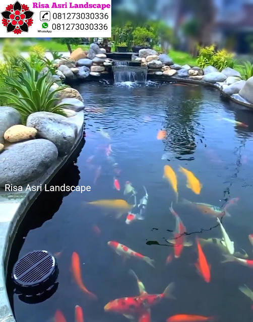 Risa Asri Landscape - Kolam Minimalis, Natural Koi Pond, Kolam Alami, Kolam Air Terjun/Mancur, Kolam Hias Batu Batuan