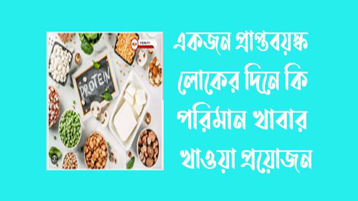 একজন প্রাপ্তবয়স্ক লোকের দিনে কি পরিমান খাবার খাওয়া প্রয়োজন