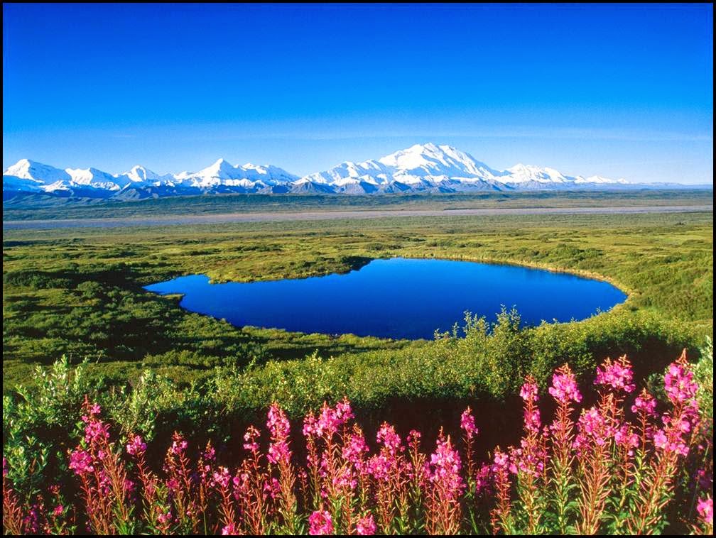 Mount Mckinley (Denali): Travel the highest mountain of the North America (Part – 2)