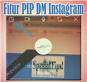 Cara Menggunakan Fitur PIP Di DM Instagram