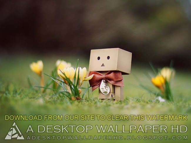 Danbo And Flowers Desktop Wallpaper HD