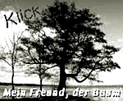 http://jahreszeitenbriefe.blogspot.de/search/label/Mein%20Freund%20der%20Baum