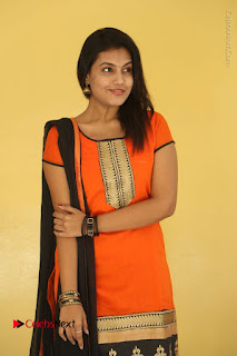 Telugu Actress Chandana Stills in Salwar Kameez at Karam Dosa Movie Press Meet  0016.JPG