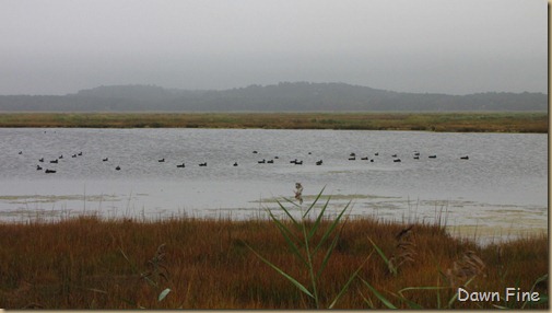 BwBTC Plum Island_001