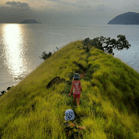 Wisata Pulau Komodo