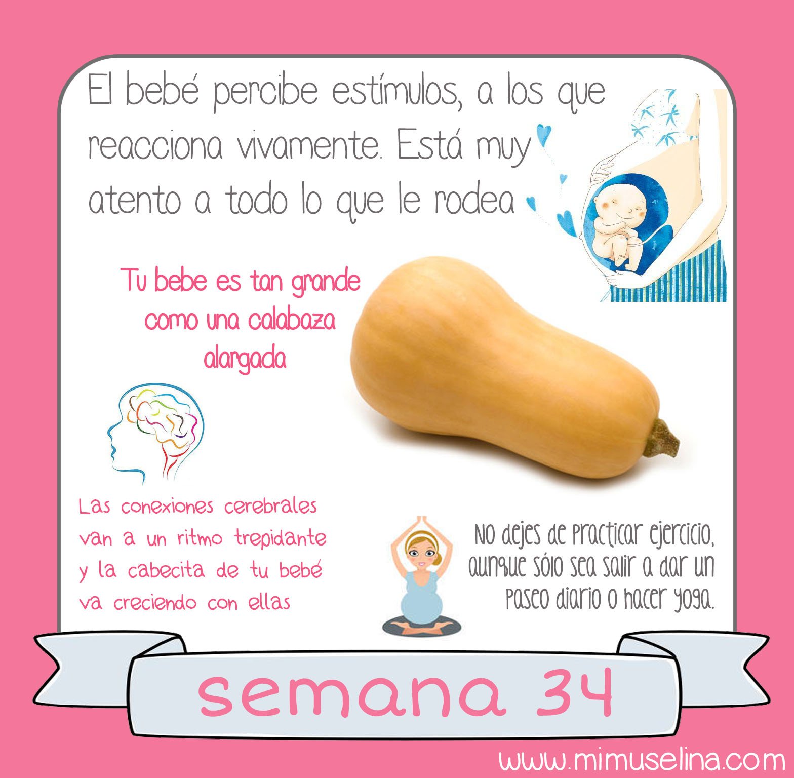 Semana 34 Embarazo Tamano Y Evolucion Del Bebe Mimuselina