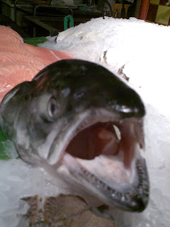 Salmon Head