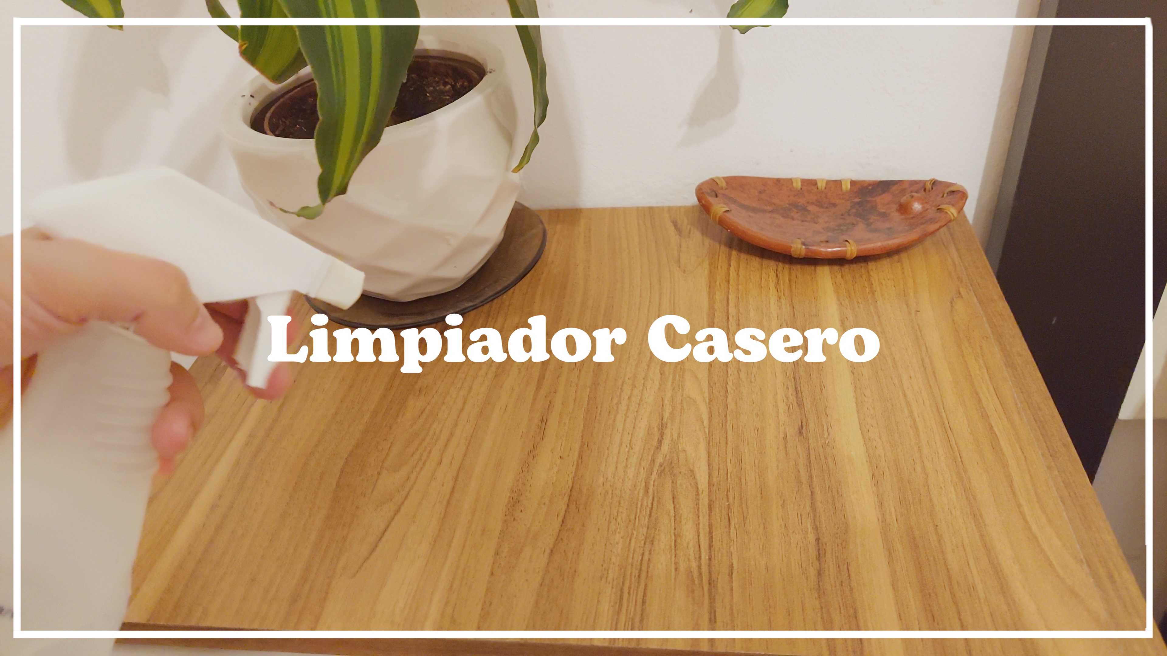 🍃 LIMPIADOR Casero y Natural para muebles 🍃 Limpiador NATURAL y ECOLOGICO para planta