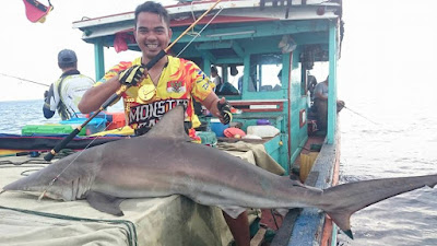 jigging master strike ikan hiu 75 kg di padang