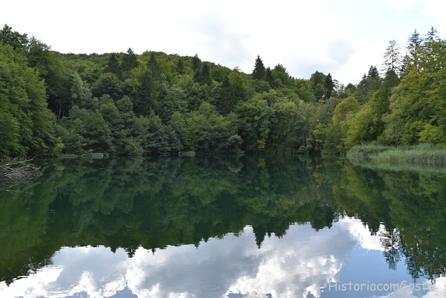 foto do lago com uma bela floresta nas suas margens  