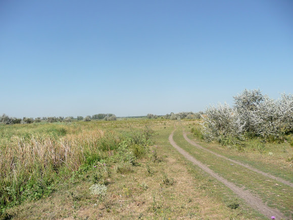 Річка Вовча. Ландшафтний заказник «Бакаї»