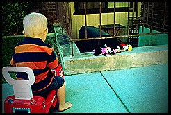 2010 08 25_8948