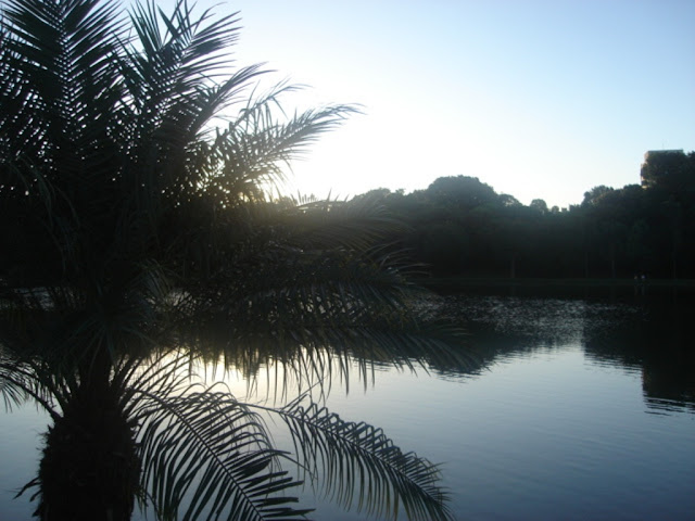 Lago do Parque Areião de Goiânia 