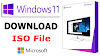Windows 11 ISO File  Download