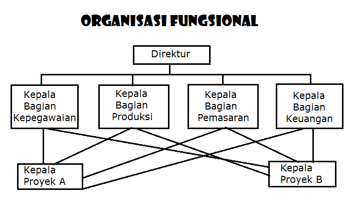 15+ Bentuk Bentuk Organisasi