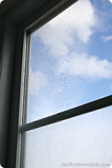applying contact paper to window