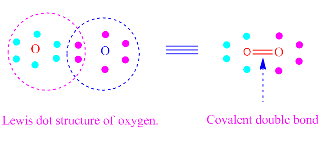 covalent double bond  :