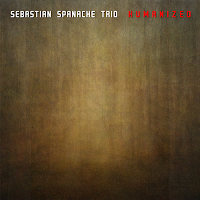 Sebastian Spanache Trio - Humanized