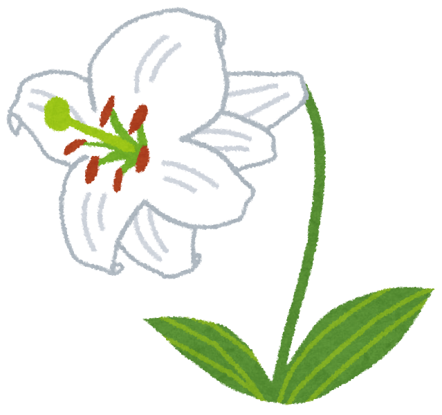 ユリのイラスト 花 かわいいフリー素材集 いらすとや ユリのイラスト 花 かわいいフリー素材集 いらすとや