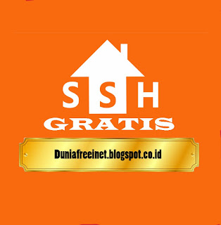 ssh gratis