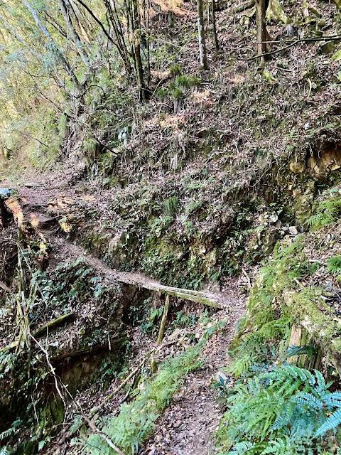 霞山舊鐵道