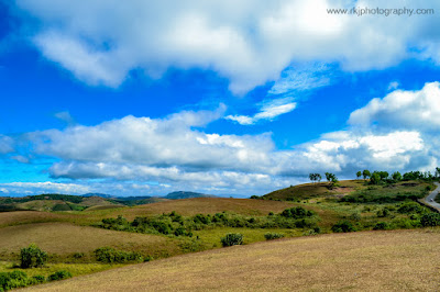 Vagamon Meadows