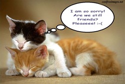 i_am_sorry_02