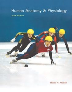 Human Anatomy & Physiology with InterActive Physiology® 8-System Suite: United States Edition