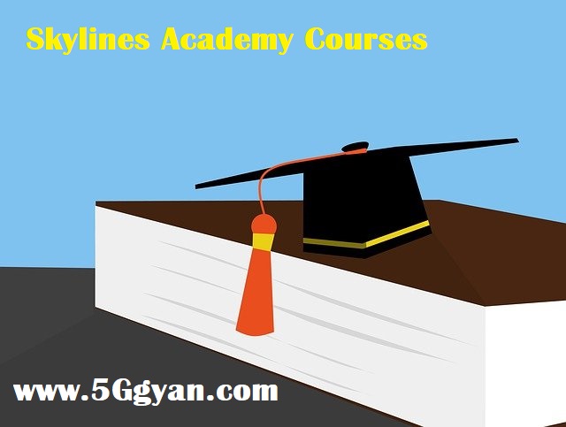 Skylines Academy 26GB Courses